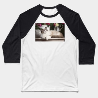 Ragdoll Cat Digital Painting Baseball T-Shirt